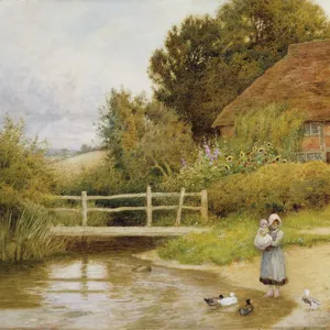Watercolor paintings Collection: Water reflections in painting