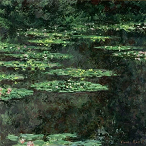 Waterlilies, 1904 (oil on canvas)