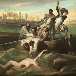 Watson and the Shark, 1778 (oil on canvas)