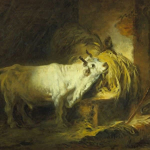 The White Bull in the Stable (oil on canvas)