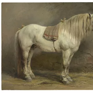 A White Horse, 1866 (oil on canvas)