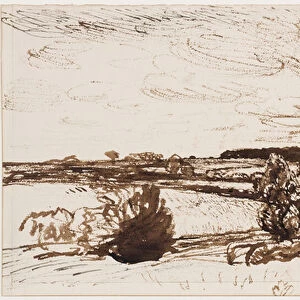 Windblown landscape (pen, brush & sepia ink on paper)