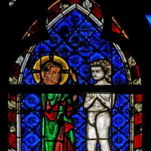 Window w17 depicting the Creation of Adam (stained glass)