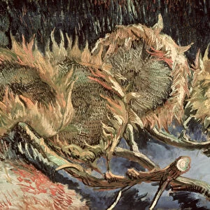 Four Withered Sunflowers, 1887 (oil on canvas)