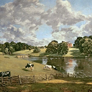 Wivenhoe Park, Essex, 1816 (oil on canvas)