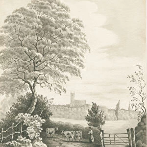 Wolverhampton - Distant view from Dunstall Lane: sepia wash drawing, 1837 (drawing)