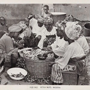 Women peeling kola nuts, Nigeria (b / w photo)