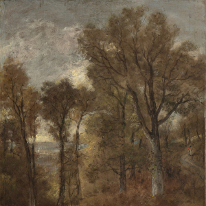 Woodland scene overlooking Dedham Vale, c. 1802-03 (oil on canvas)