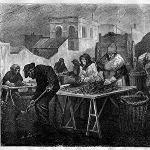 Workers in France: Coke sorters (Variete of coal resulting from the distillation of coal