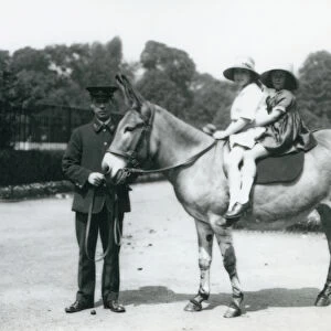 Two young girls riding an ass, London Zoo, August 1922 (b / w photo)