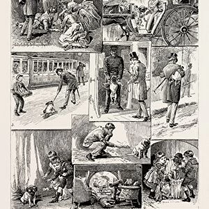 THE ADVENTURES OF THE DOG JIM, 1889: 1