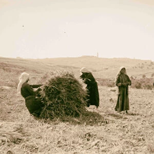 Arab women agriculture 1898 Middle East Israel