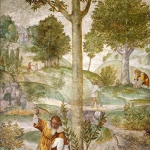 Bernardino Luini, Cephalus Hiding the Jewels, Italian, c. 1480-1532, c. 1520-1522, fresco