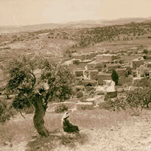 Bethany 1934 West Bank Middle East