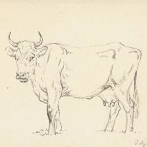 cow left Jean Bernard 31-Aug-1828 paper chalk