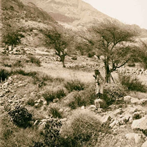 Around Dead Sea Scene Ain Jiddy 1900 Mountains