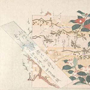 Designs Writing-Paper Flowers Edo period 1615-1868