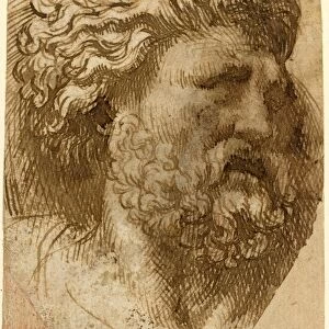 Domenico Campagnola, Italian (before 1500-1564), Head of a Man, pen and brown ink