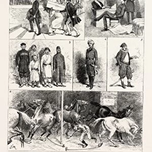 Experiences of a British Officer of the Gendarmerie in Egypt, Engraving 1884