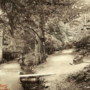 Forests Lower Saxony Park benches Germany Bridges