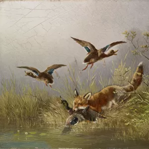 Fox Duck Hunt oil panel 21 x 26. 5 cm signed inscribed lower right