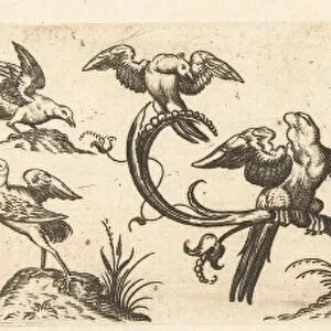 Frieze with twelve birds, Anonymous, Hans Collaert (I), 1530 - 1580
