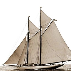 Grayling, Grayling (Schooner), Yachts, 1890