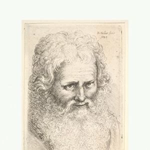 Head old man large beard 1645 Etching state Plate