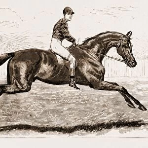 iroquois, the Winner of the Derby of 1881, and his Jockey, Fred Archer