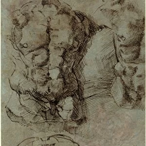 Italian 16th Century, Studies of a Male Torso, 16th century, pen and brown ink