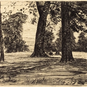 James McNeill Whistler (American, 1834 - 1903), Greenwich Park, 1859, etching in