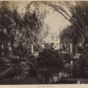 Khedive Gardens Egypt 1881 Albumen silver print