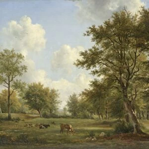 O Collection: Pieter Gerardus van Os