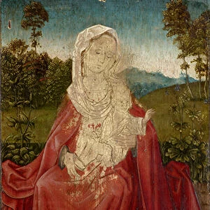 Madonna Child Grass Bank c. 1490 mixed media