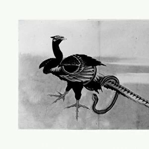 Pheasant Snake Edo period 1615-1868 18th-19th century