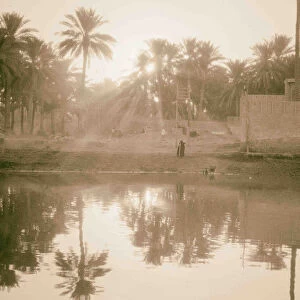 River scenes Euphrates Hilla Sun rays palm grove
