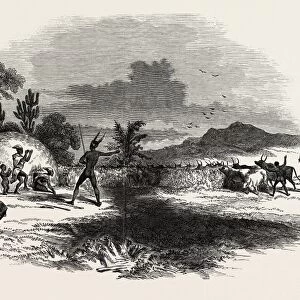 Scene in Kaffirland, May 1, 1846