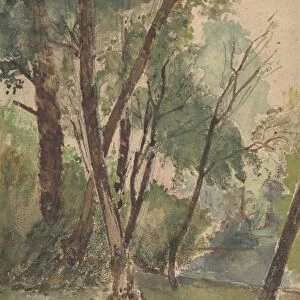 Trees Beside Pond 1820-78 Watercolor graphite