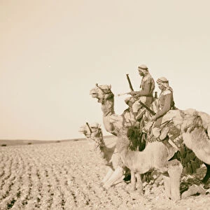 tribal lunch cavalry post Tel-el-Meleiha 20 miles