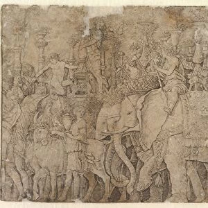 Triumph Julius Caesar 1431-1506 Pen brown ink