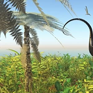 Two Apatosaurus dinosaurs in a lush Cretaceous jungle