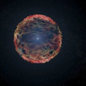 An artists impression of supernova 1993J