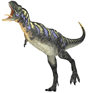 Aucasaurus dinosaur