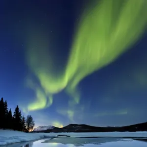 : Northern Lights