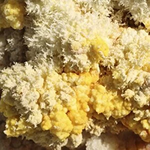 Close-up of yellow salt crystals in the Dallol geothermal area, Danakil Depression