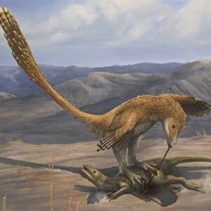 A Deinonychus feeds on the carcass of a Zephyrosaurus