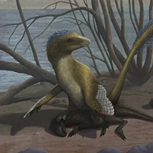 A Deinonychus protects its kill, a psittacosaurid dinosaur