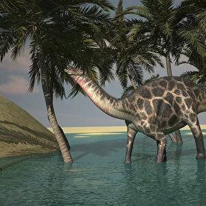 Dicraeosaurus in shallow water