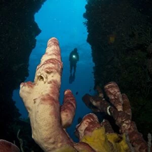 A diver looks into a cavern at a sponge, Gorontalo, Sulawesi, Indonesia