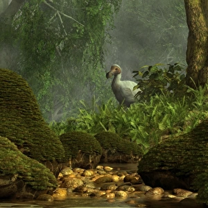 A Dodo bird hides in a dense jungle near a stream